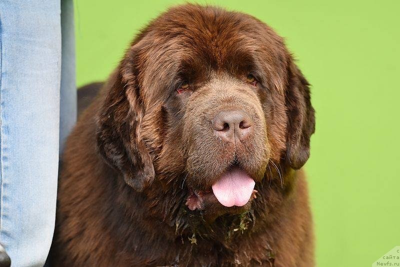 Фотография № 235470