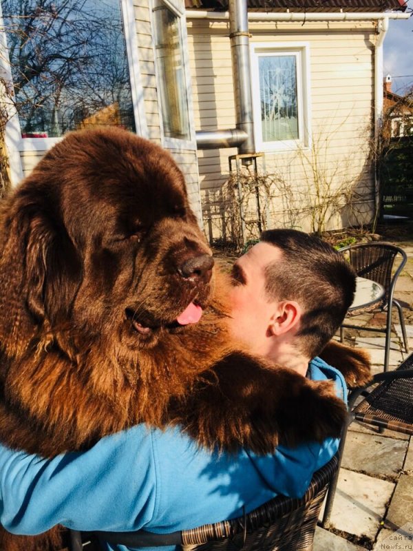 Фотография № 235474