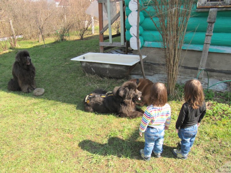 Фотография № 235491