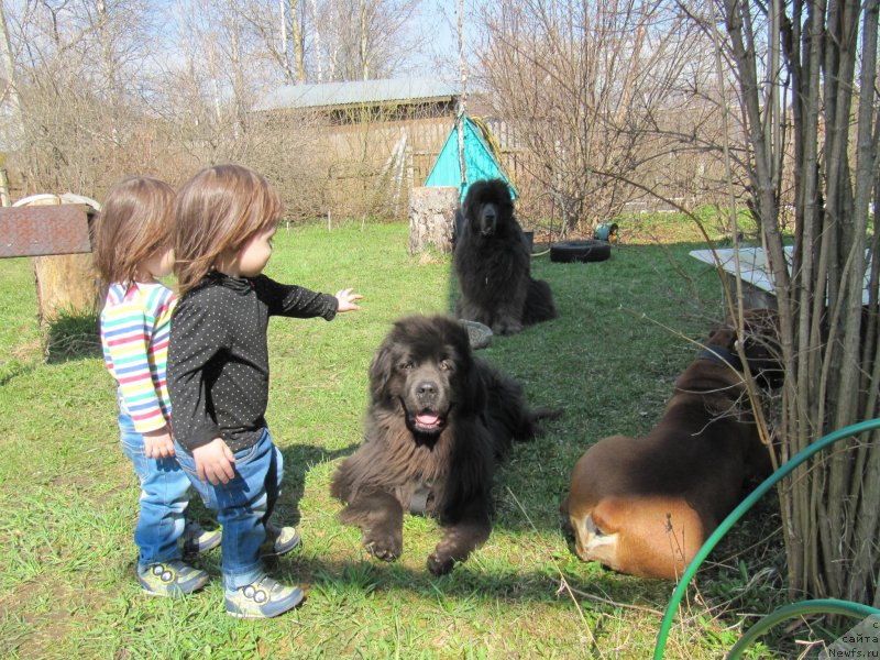 Фотография № 235492