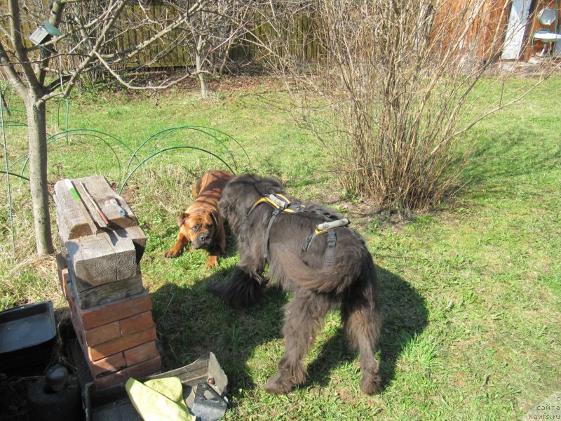 Фотография № 235493