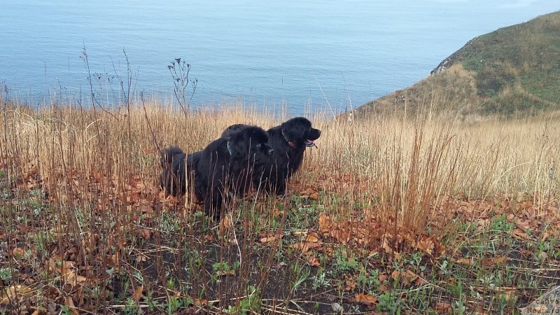 Фотография № 235502