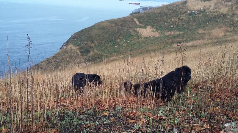 Фотография № 235503