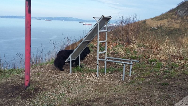 Фотография № 235505