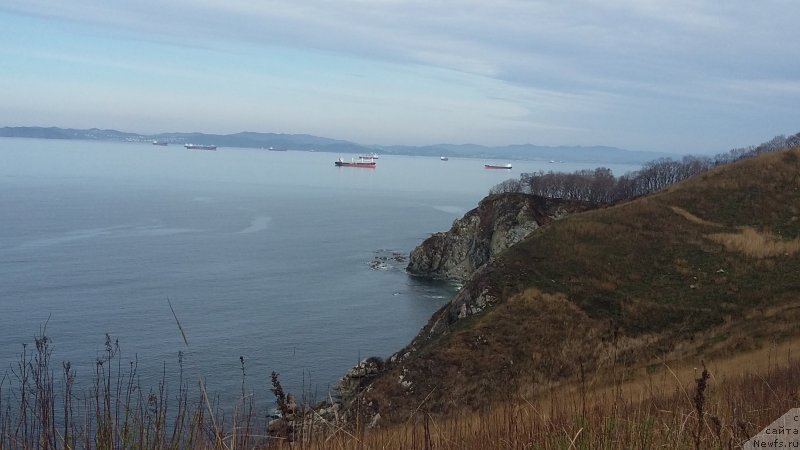 Фотография № 235506