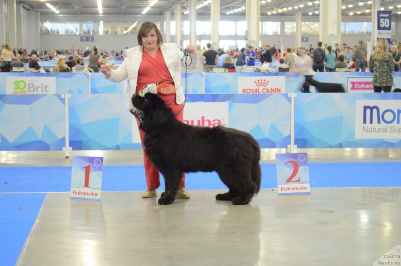 Фотография № 235510