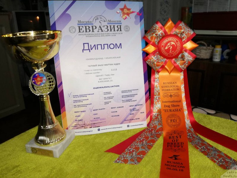 Фотография № 235511