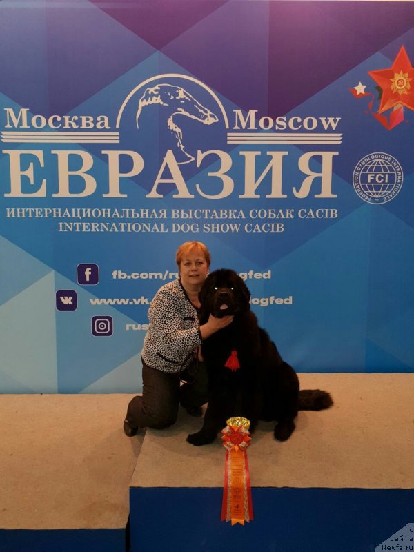 Фотография № 235512