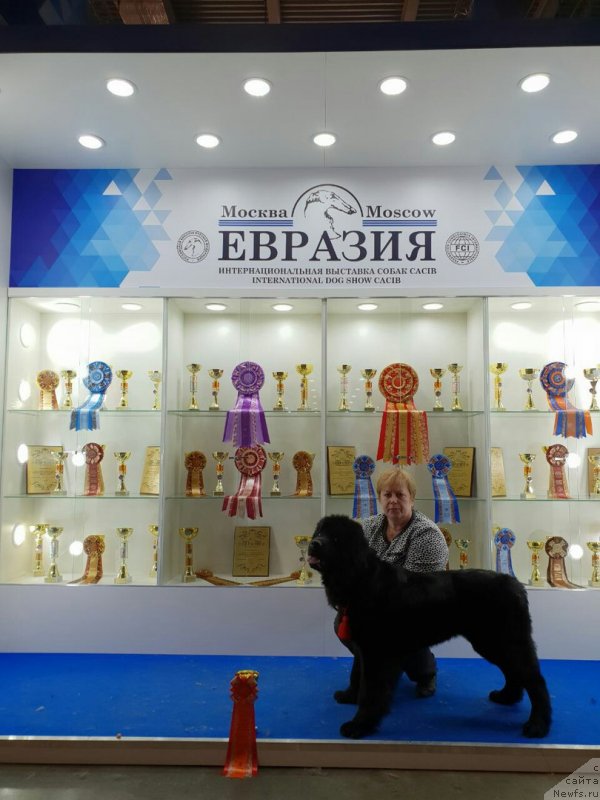 Фотография № 235513