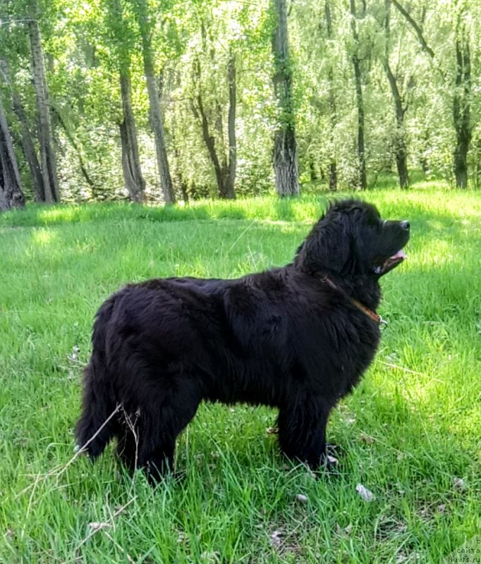 Фотография № 235520