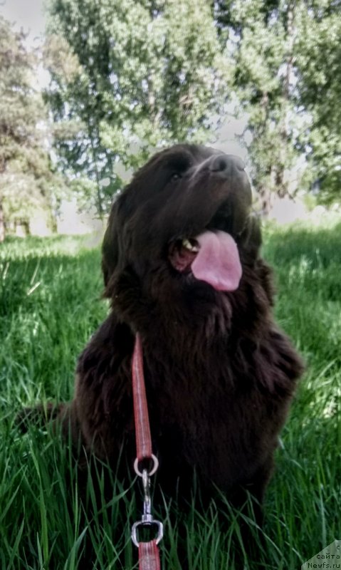 Фотография № 235521