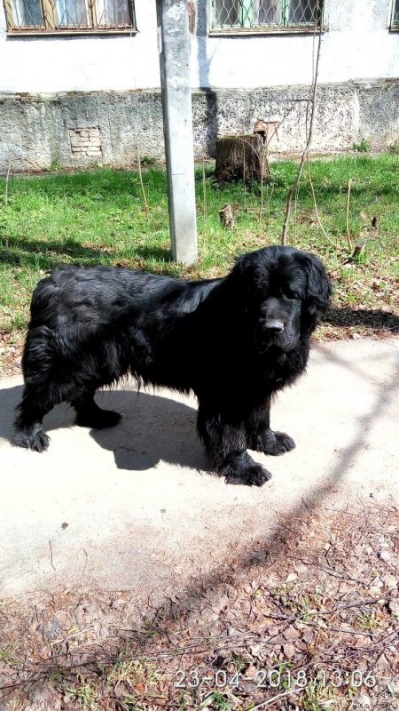 Фотография № 235522