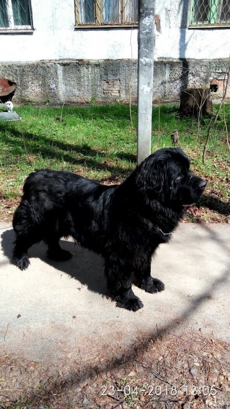 Фотография № 235523