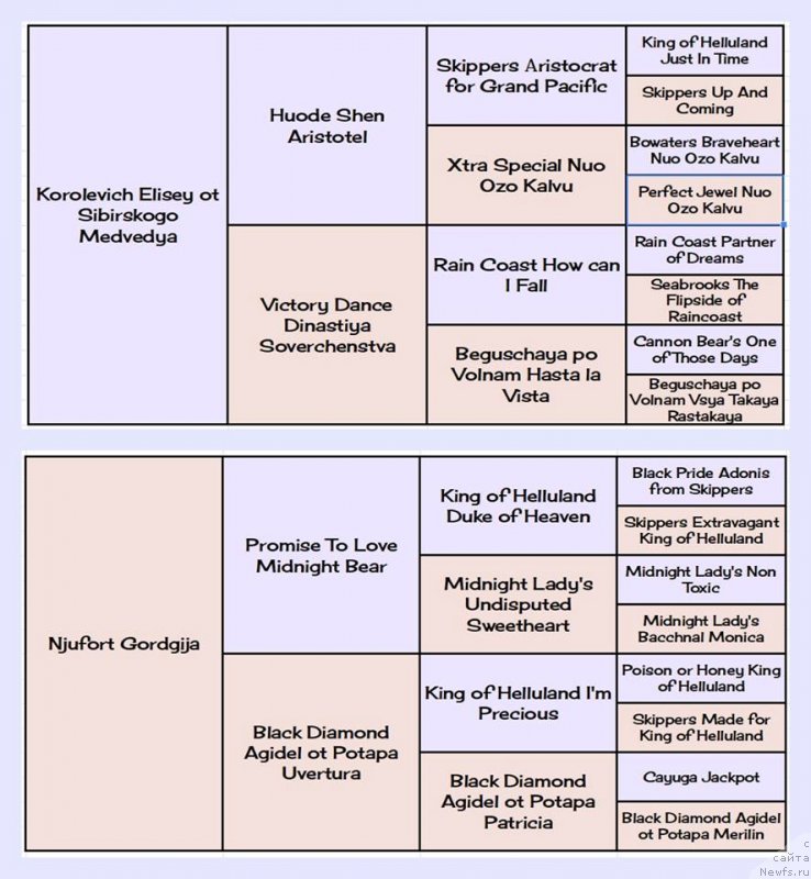 Фотография № 235559