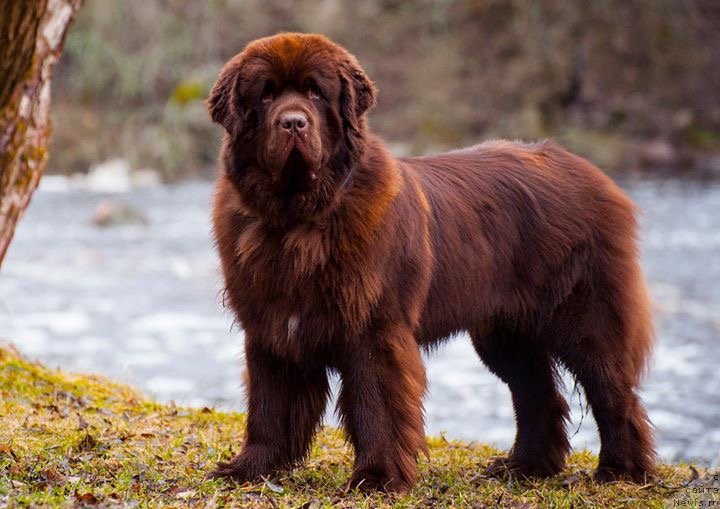 Фотография № 235597