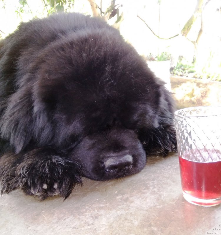 Фотография № 235598