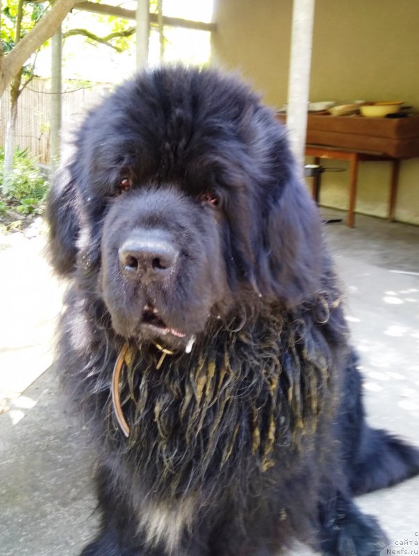 Фотография № 235599