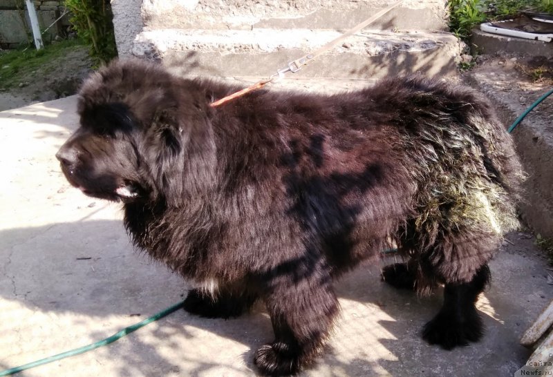 Фотография № 235601