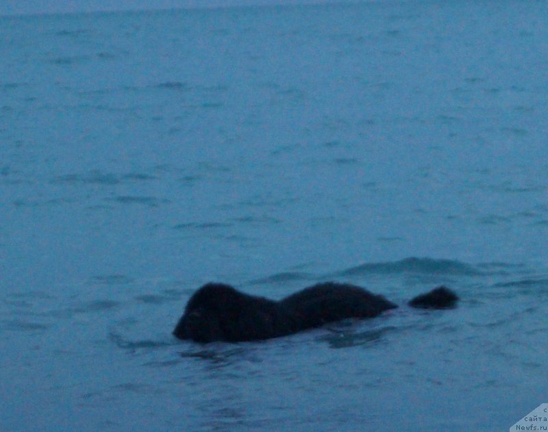 Фотография № 235602