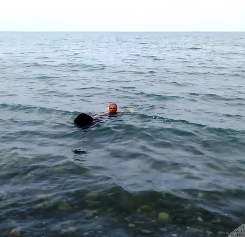 Фотография № 235603