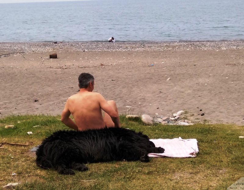 Фотография № 235604