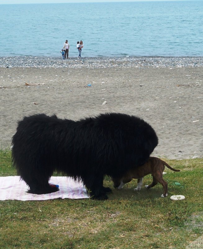 Фотография № 235605