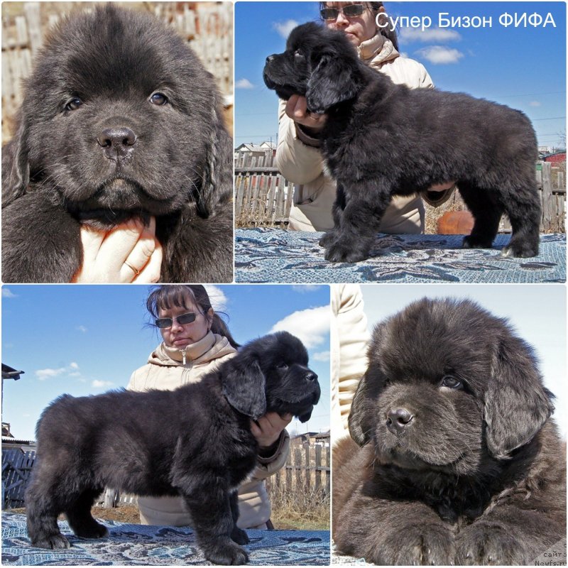 Фотография № 235620