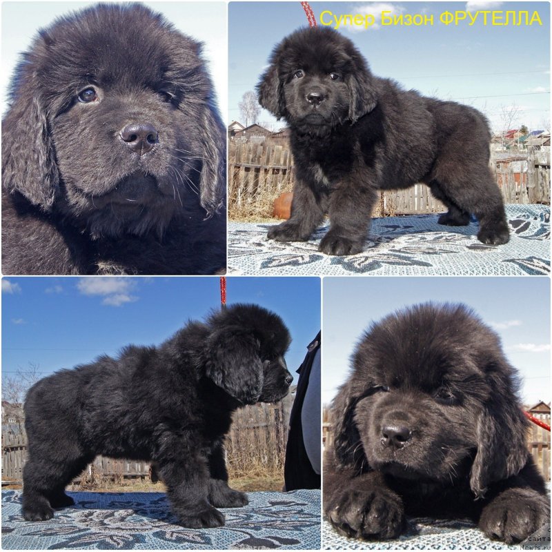 Фотография № 235621