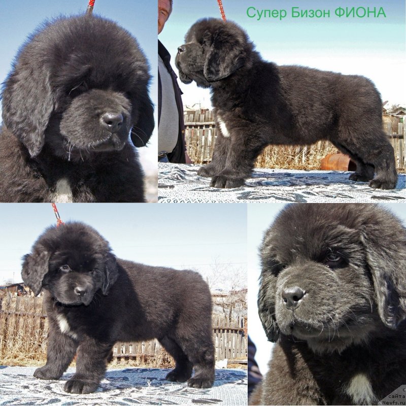 Фотография № 235623