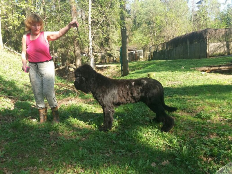 Фотография № 235633