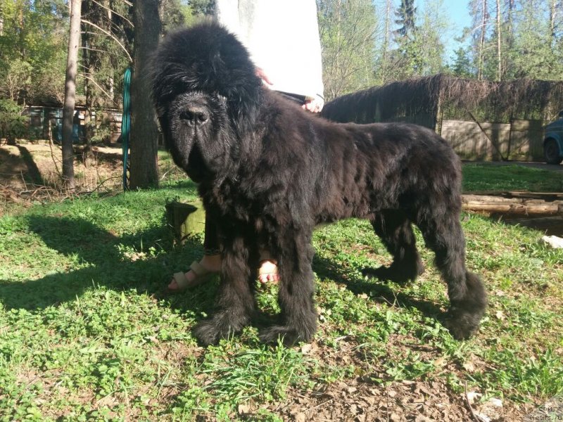 Фотография № 235634