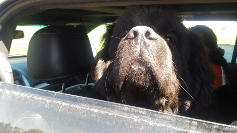 Фотография № 235654