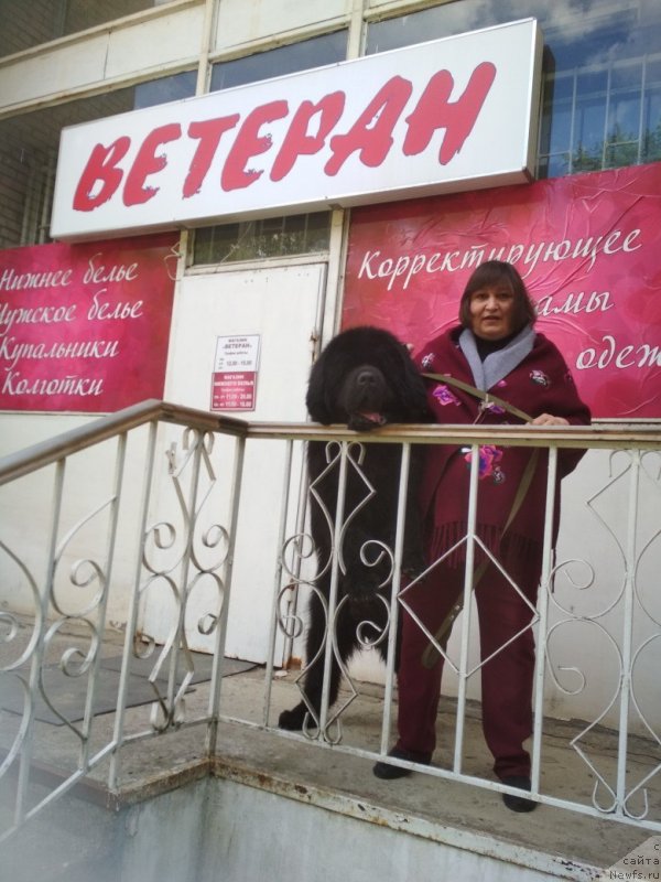 Фотография № 235659