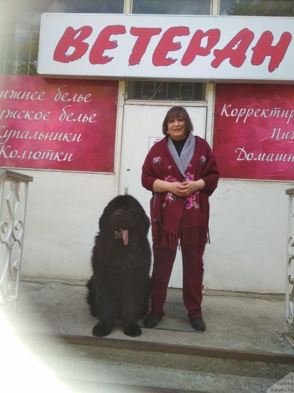 Фотография № 235660