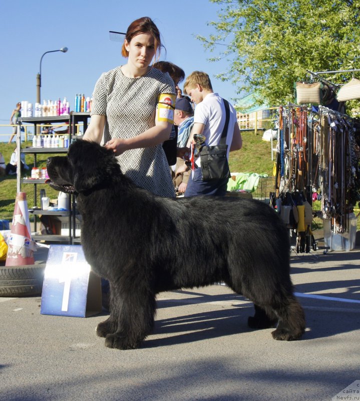 Фотография № 235667