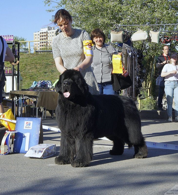 Фотография № 235668