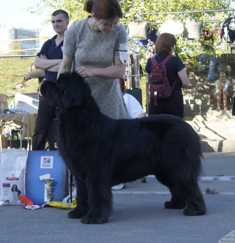 Фотография № 235669