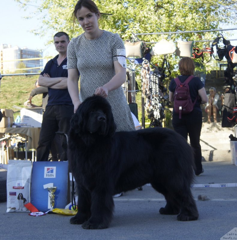 Фотография № 235670