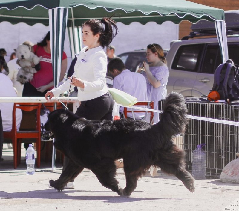 Фотография № 235705