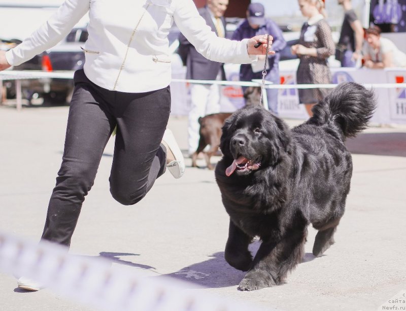 Фотография № 235708