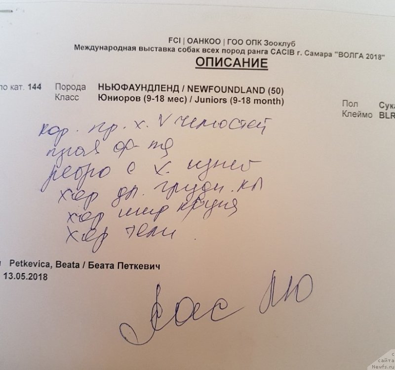 Фотография № 235709