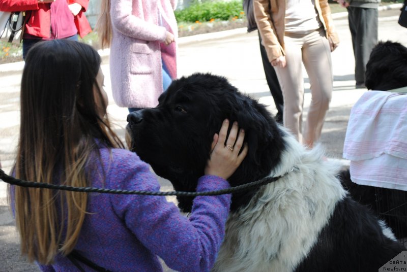 Фотография № 235711