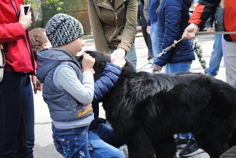 Фотография № 235713