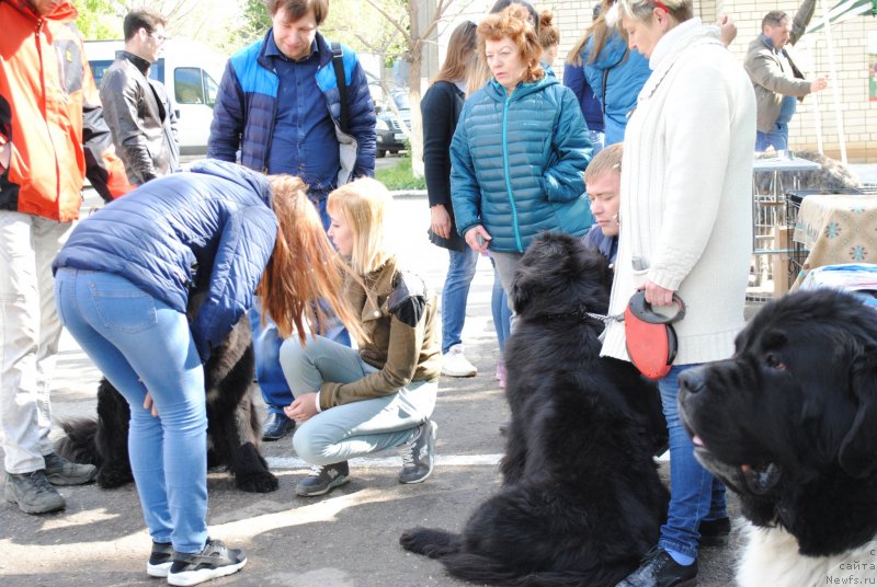 Фотография № 235714