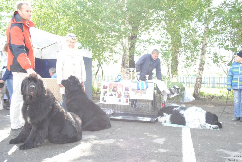 Фотография № 235715