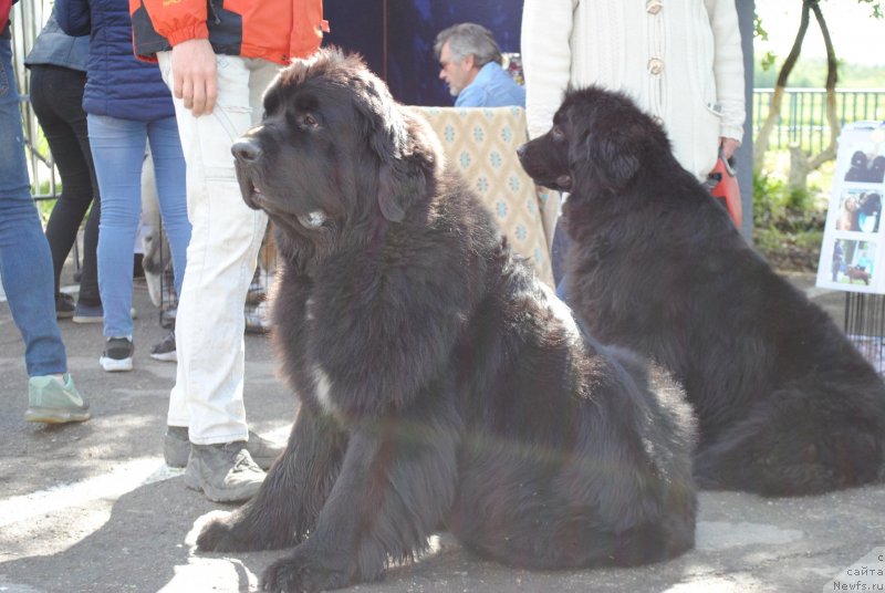 Фотография № 235716