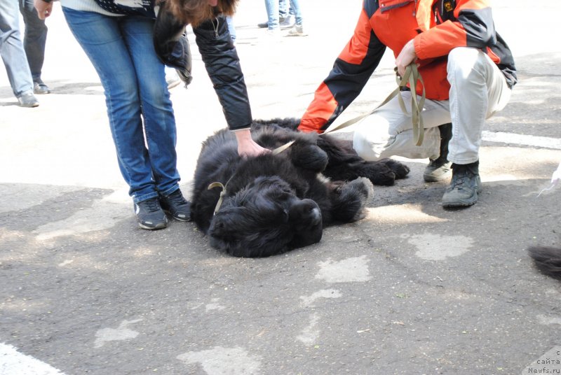 Фотография № 235718