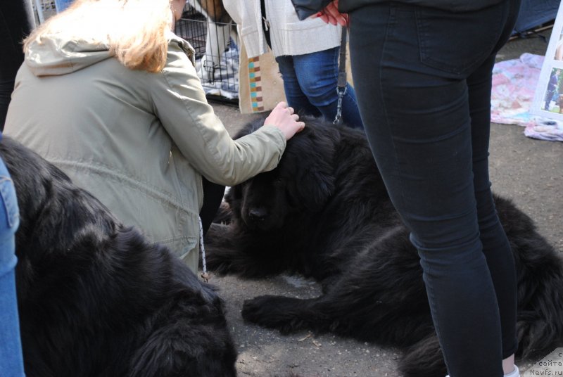 Фотография № 235719