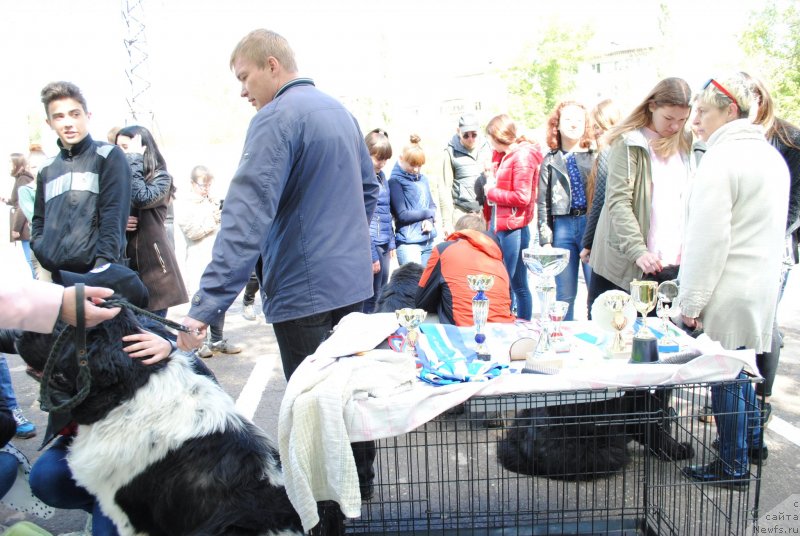 Фотография № 235721