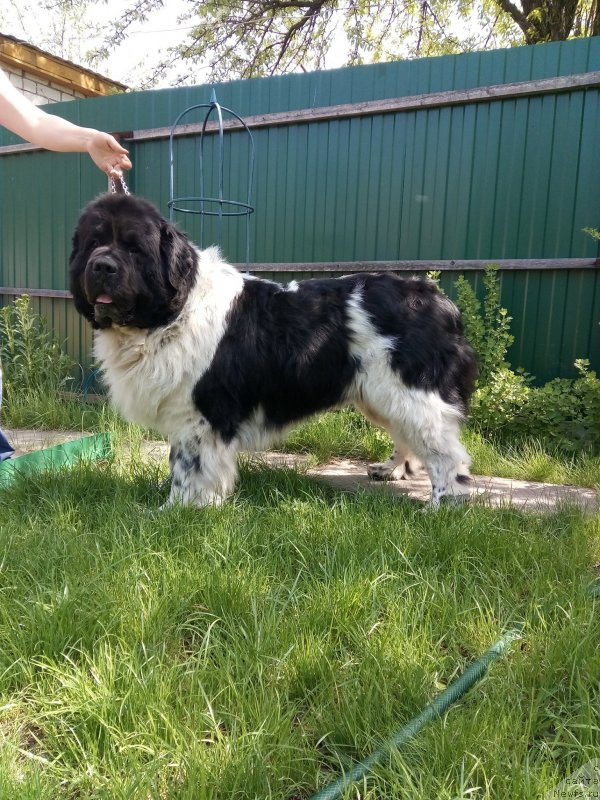 Фотография № 235724